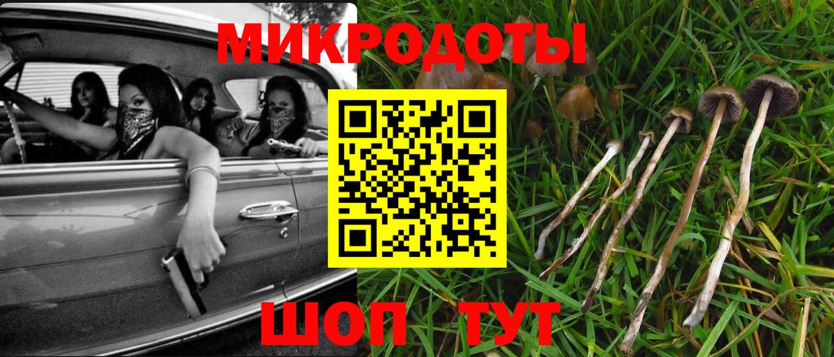 Псилоцибиновые грибы GOLDEN TEACHER Краснознаменск